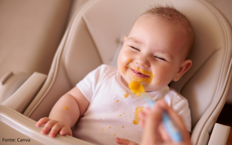 Introdução alimentar 6 meses: guia completo e seguro para começar